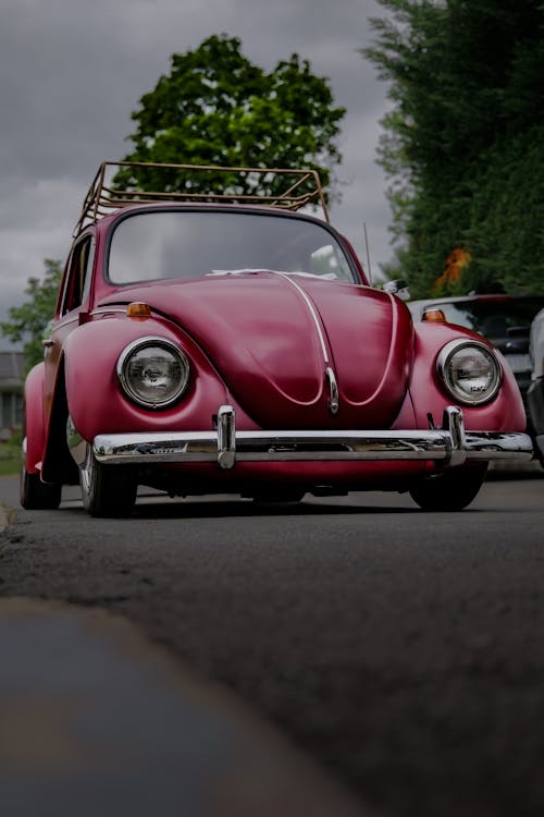 Free stock photo of automotive art, beetle love, beetle photography