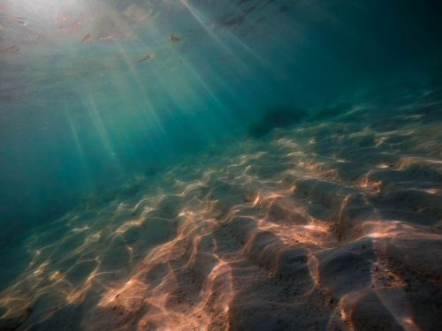 Free stock photo of blue, deep, deep ocean Stock Photo