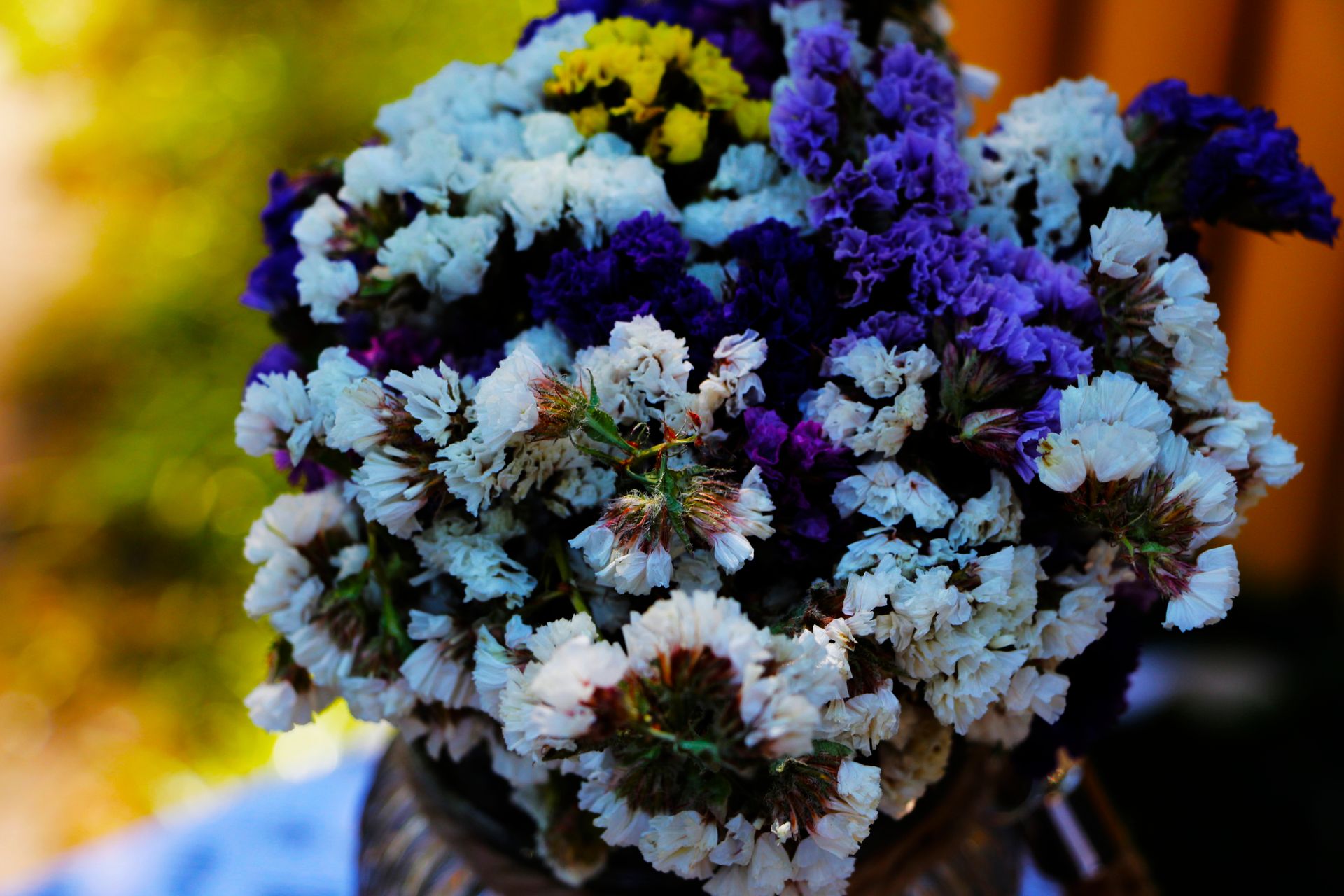 A colorful arrangement of dried statice flowers in a decorative vase outdoors.