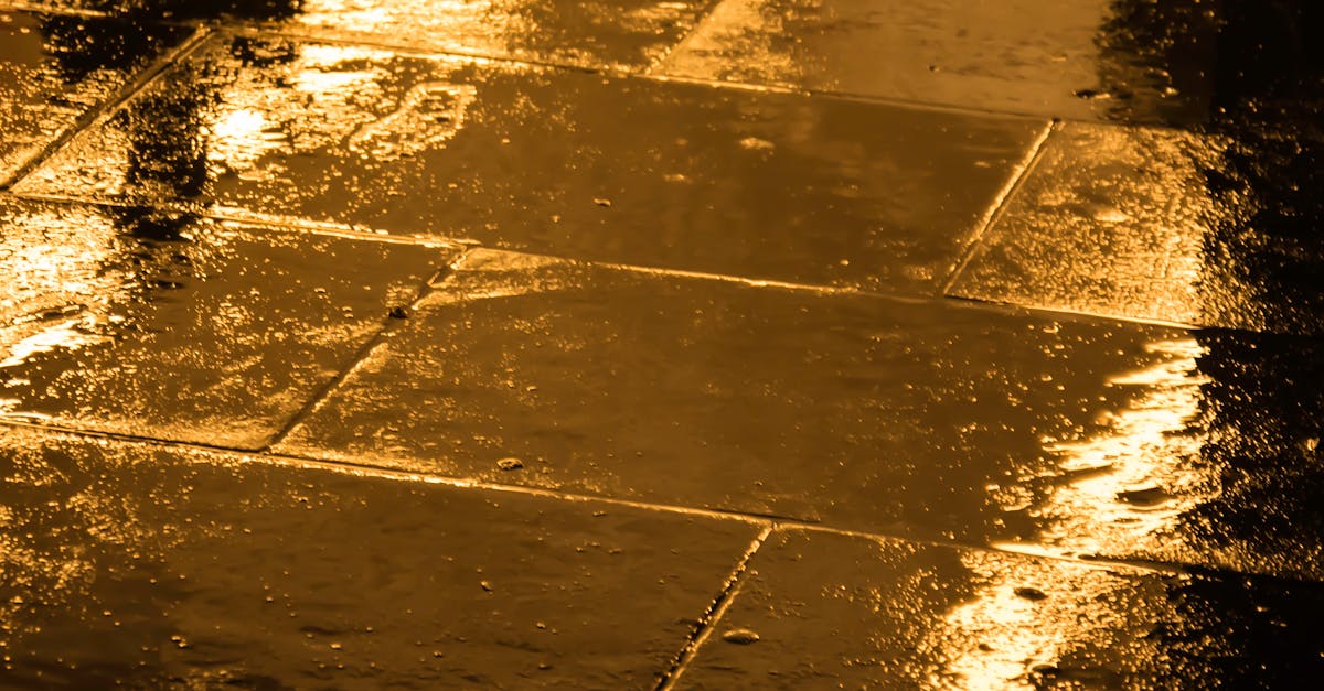 Close-up of Wet Beach during Sunset