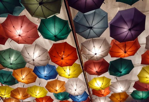 Photos gratuites de au hasard, couleurs vives, parapluies