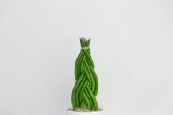 Green Beans Illustration
