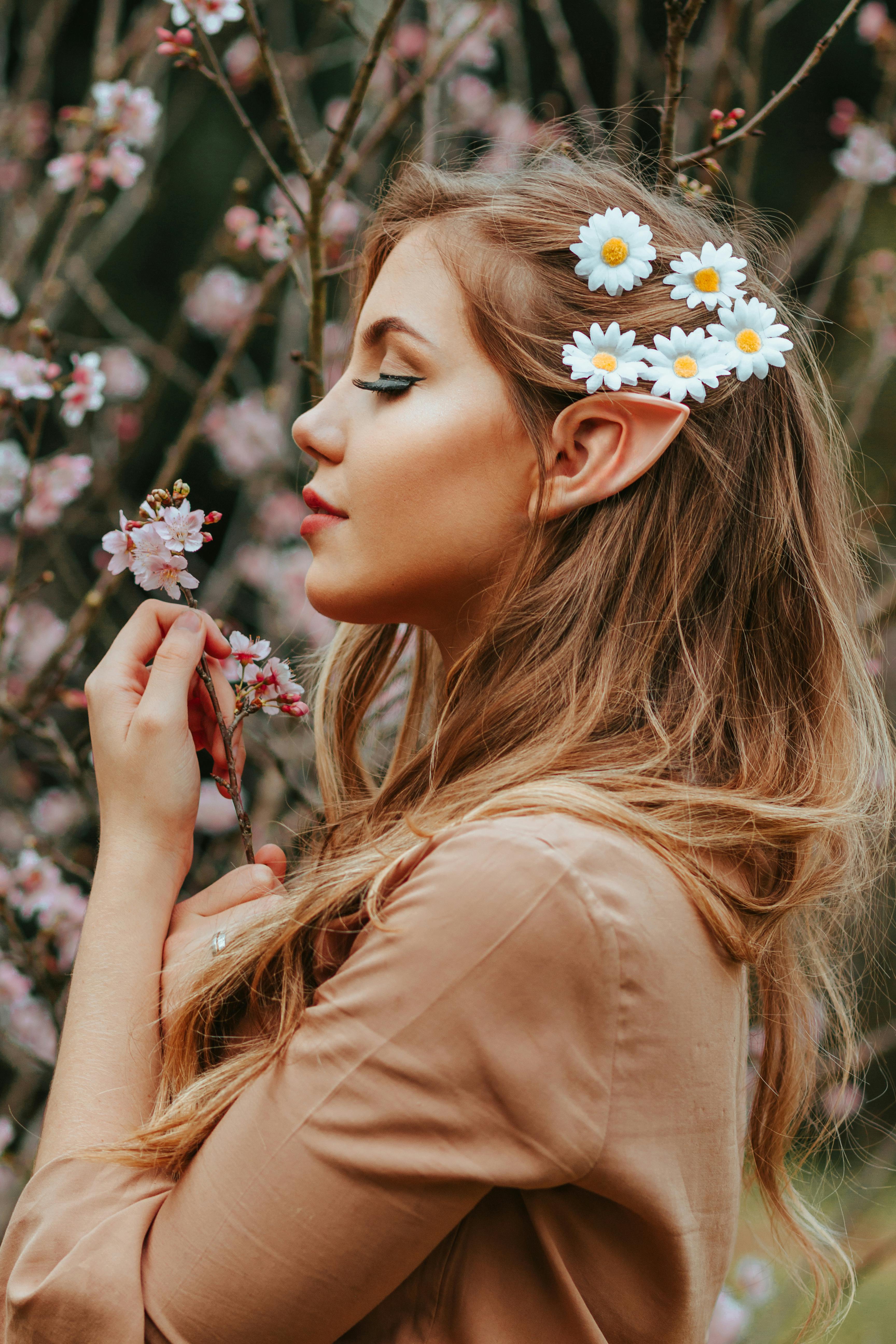 Side View Photo of Woman with Pointy Ear and Daisies on Her Hair Standing  by Cherry Blossoms While Holding Cherry Blossom Branch · Free Stock Photo