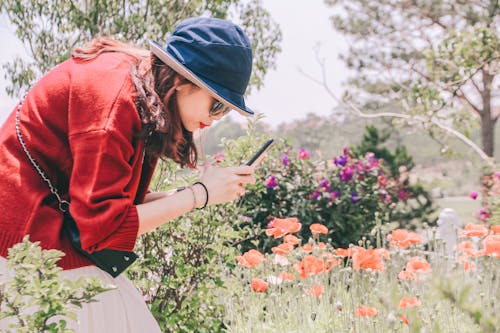 Photo of a Woman Taking Photo of Flowers Using a Smartphone