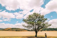 晴朗的日子里，蓝天下，湖边有一棵树和一群人