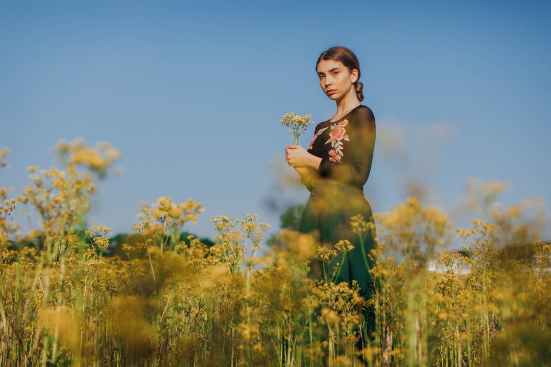 Selective Focus Photography Of A Woman Standing On A Flower Field ...