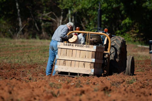 Foto d'estoc gratuïta de agbiopix, agricultor, agricultura