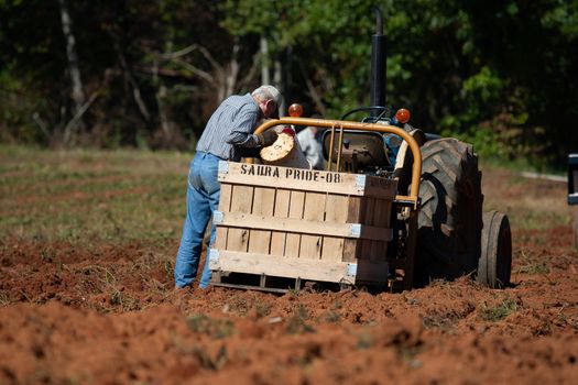 Free stock photo of adult, agbiopix, agriculture