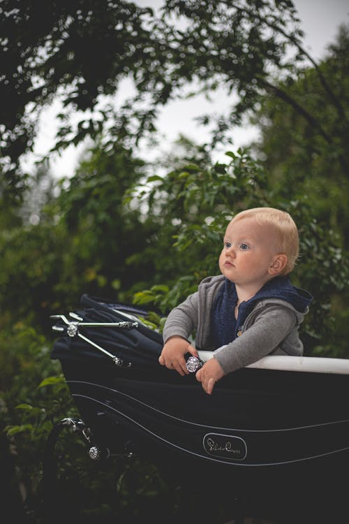 Free Photo of Baby on Stroller Stock Photo