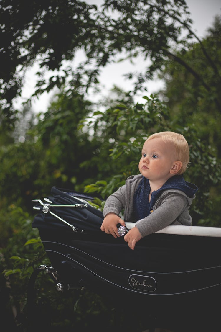 Photo Of Baby On Stroller