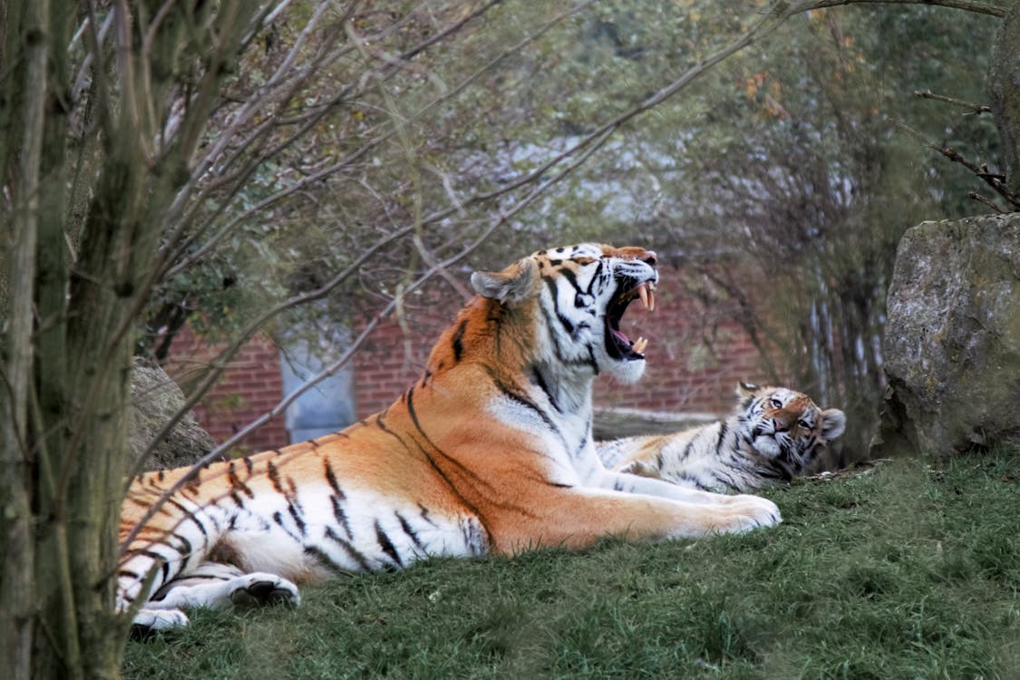 False Teachings: Guarding Against Heresy – Colossians 2:8-23 Exposes Hidden Spiritual Dangers False Teachings: Guarding Against Heresy – Colossians 2:8-23 Exposes Hidden Spiritual Dangers