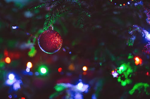 Free Close-up of Christmas Decoration Hanging on Tree Stock Photo