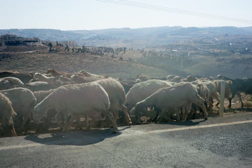 Panoramic View of Landscape and Sea Against Sky