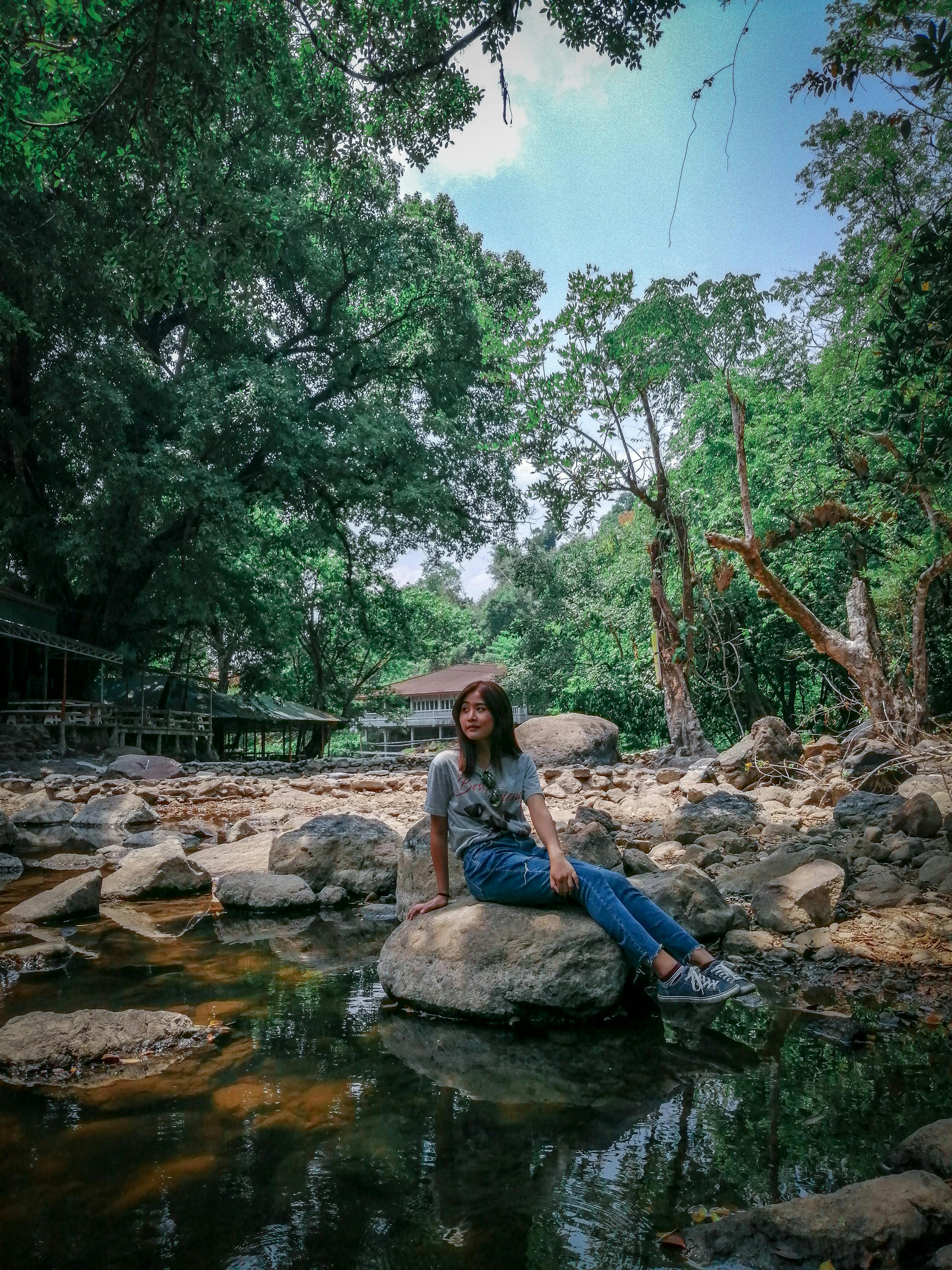 一名女子坐在河边岩石上，四周绿树环绕，她正欣赏着自然的林地风光