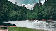 快艇滑过宁静的河流，四周环绕着郁郁葱葱的森林，非常适合休闲旅行