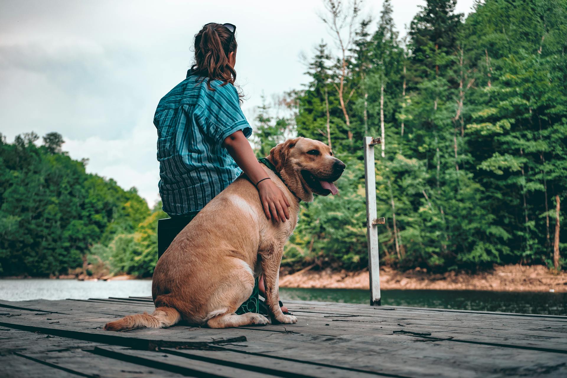 Woman Holding Yellow Labrador Retriever