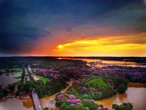 Stunning aerial view of vibrant sunset over lush, flowered landscape with river and road in India.