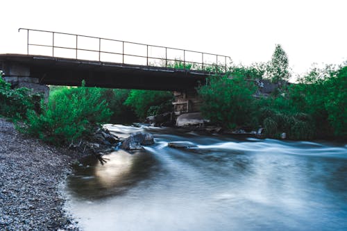 Free stock photo of bridge, creek, nature