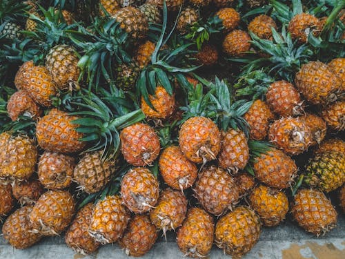 Free Yellow Pineapples On Focus Photography Stock Photo