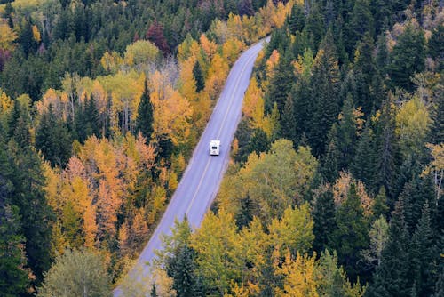 Voiture Blanche Voyageant Près Des Arbres Pendant La Journée