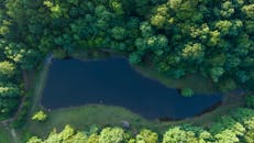 阿拉巴马州图斯坎比亚，一个宁静的森林湖泊的航拍镜头令人惊叹，捕捉到了郁郁葱葱的绿色环境