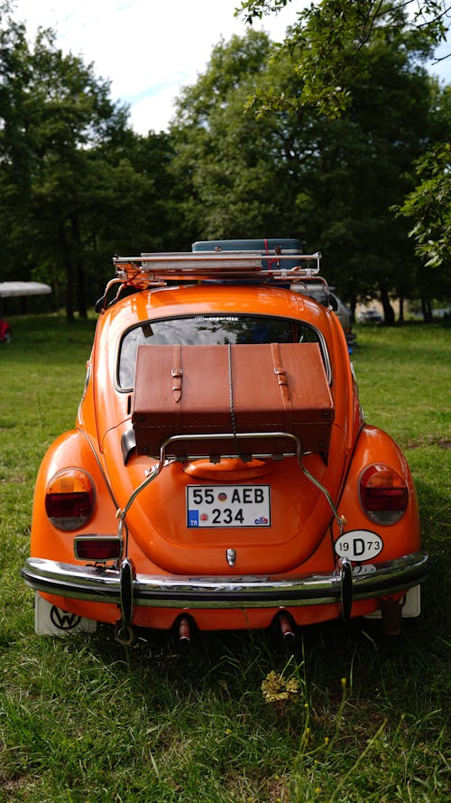 Základová fotografie zdarma na téma akce, auto, automobilový