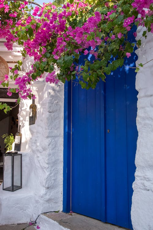 그리스 미코노스 섬의 한 레스토랑