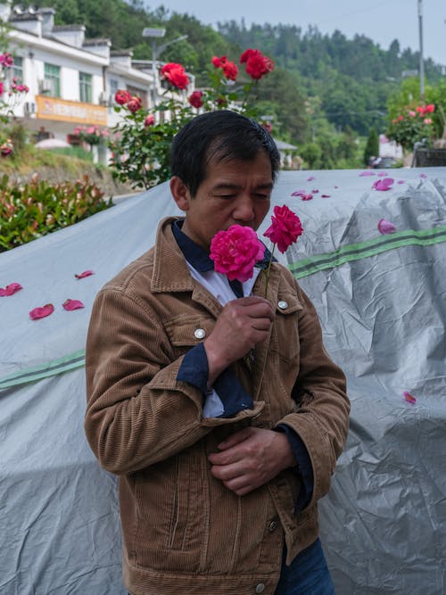 Foto d'estoc gratuïta de a l'aire lliure, adult, amor