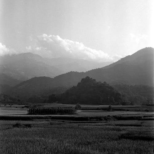 A black and white photo of a field with mountains in the background