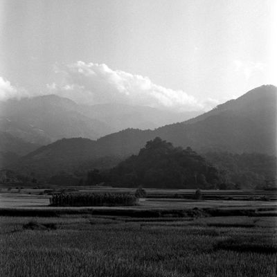 Fieldwork cover art — photo by Q. Hưng Phạm on Pexels