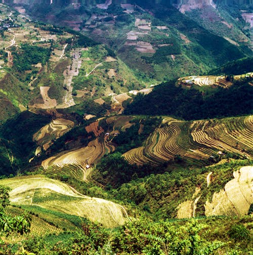 A view of a valley with rice terraces