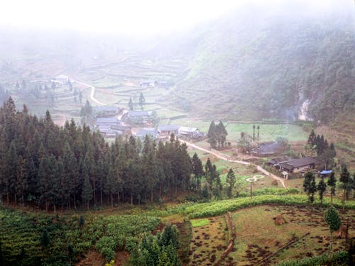 A valley with a small village and trees