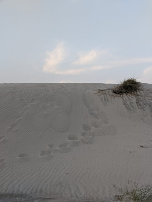 Бесплатное стоковое фото с ветер, вода, дюна