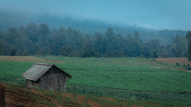 5 Destinasi Hits di Batu Malang
