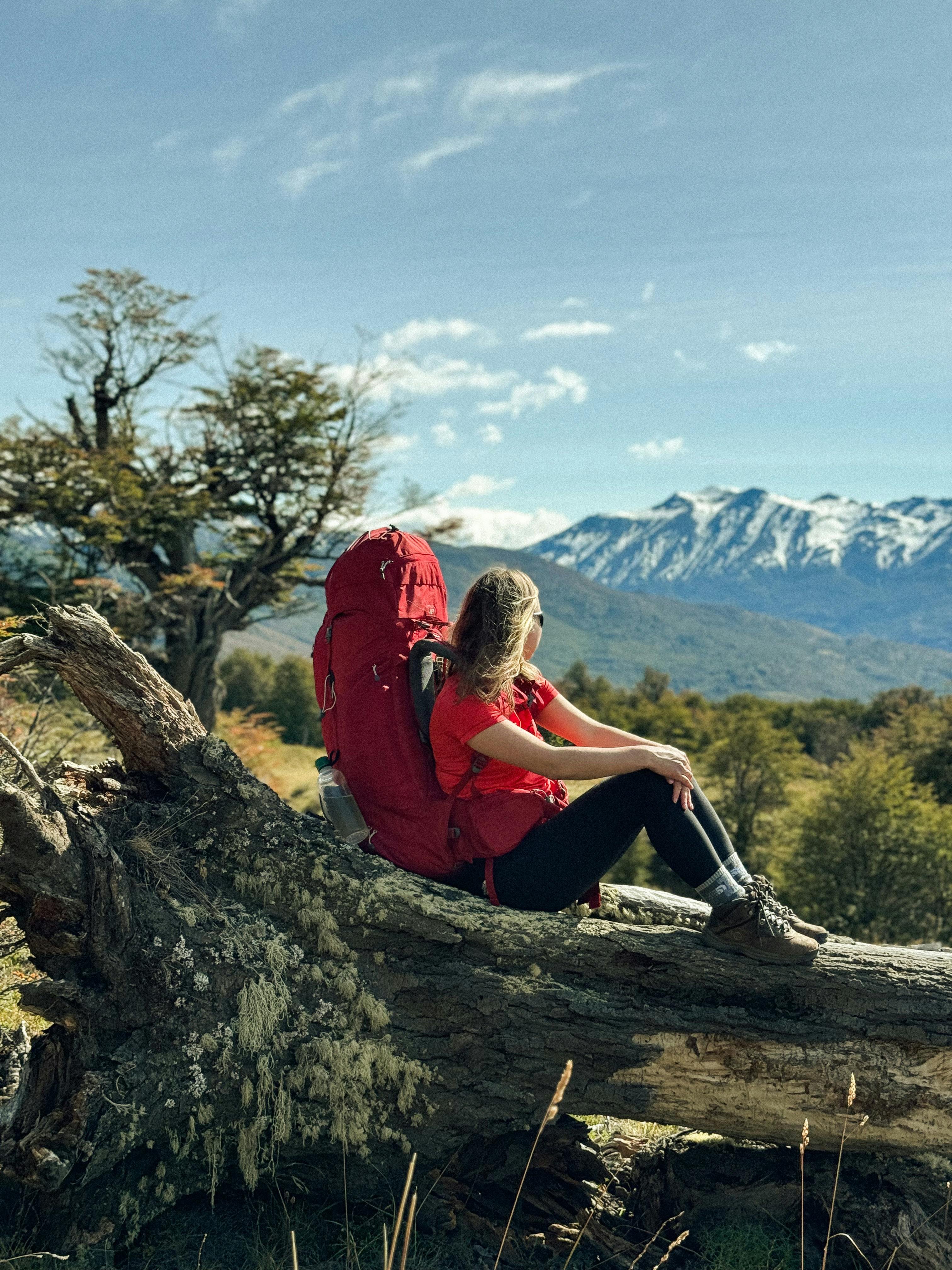 Woman with a backpack sitting on a tree log, overlooking a scenic mountain view on a sunny day.
