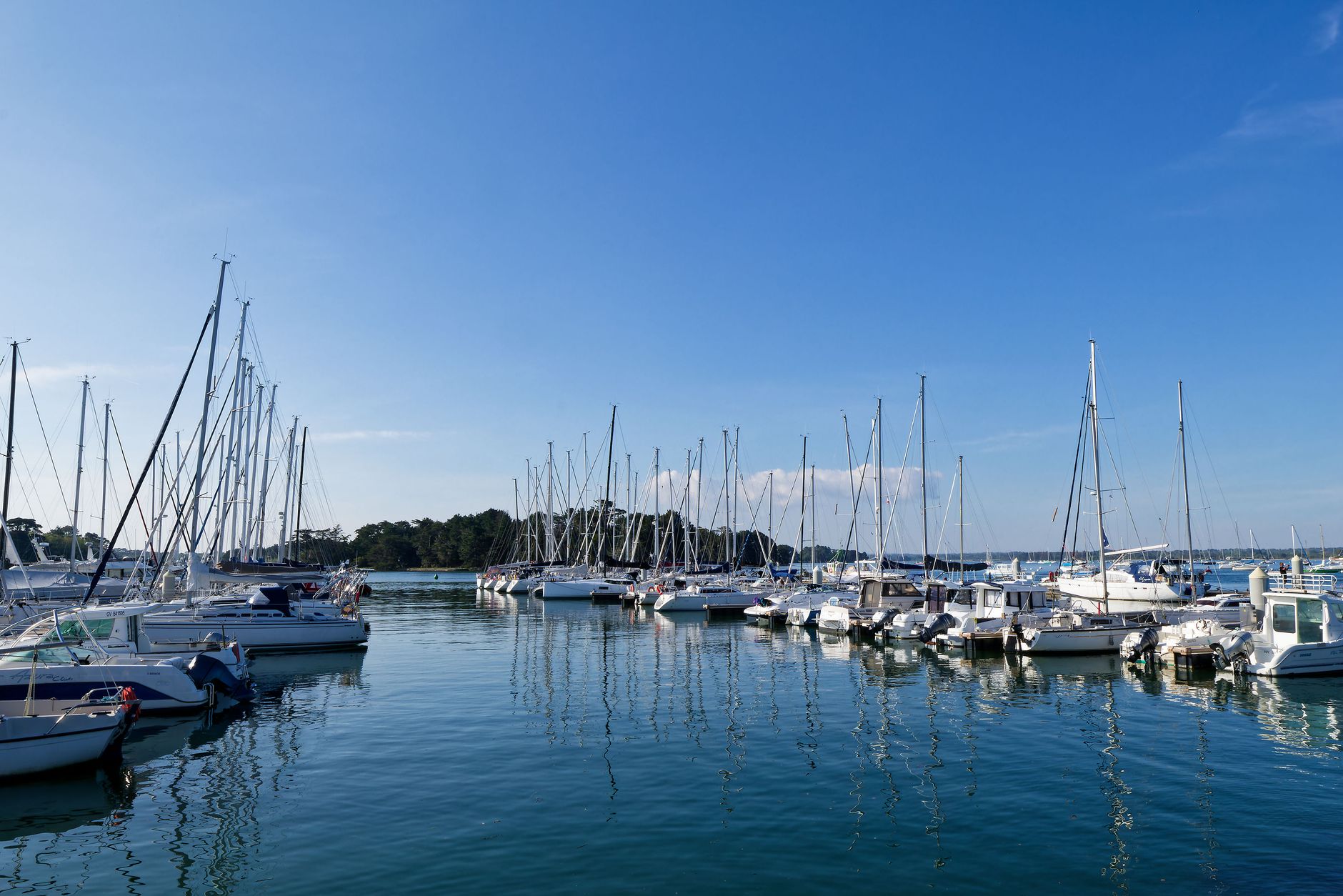 A peaceful harbor scene featuring sailboats under a clear blue sky, showcasing the tranquility of maritime life.
