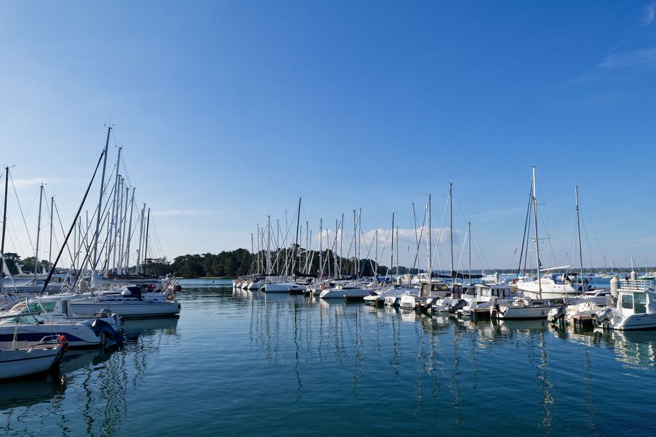 A peaceful harbor scene featuring sailboats under a clear blue sky, showcasing the tranquility of maritime life.