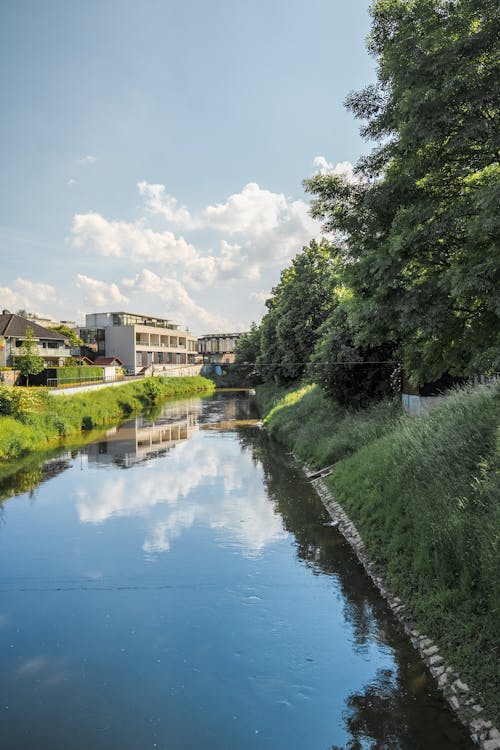 A river runs through a grassy area with buildings