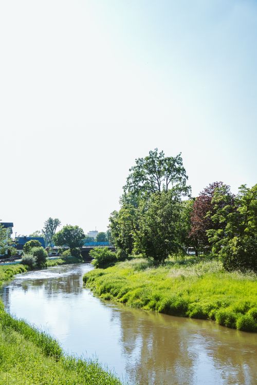 Free Peaceful river flowing through lush countryside greenery, surrounded by trees under a clear sky. Stock Photo