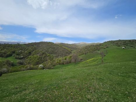 Explore the lush green hills of Dilijan, Armenia under a clear blue sky, perfect for nature enthusiasts.