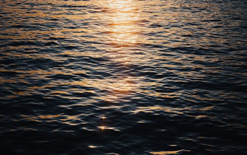 The sun is setting over the water in this photo