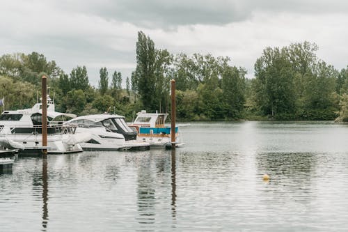 A boat docked at a marina with trees and grass