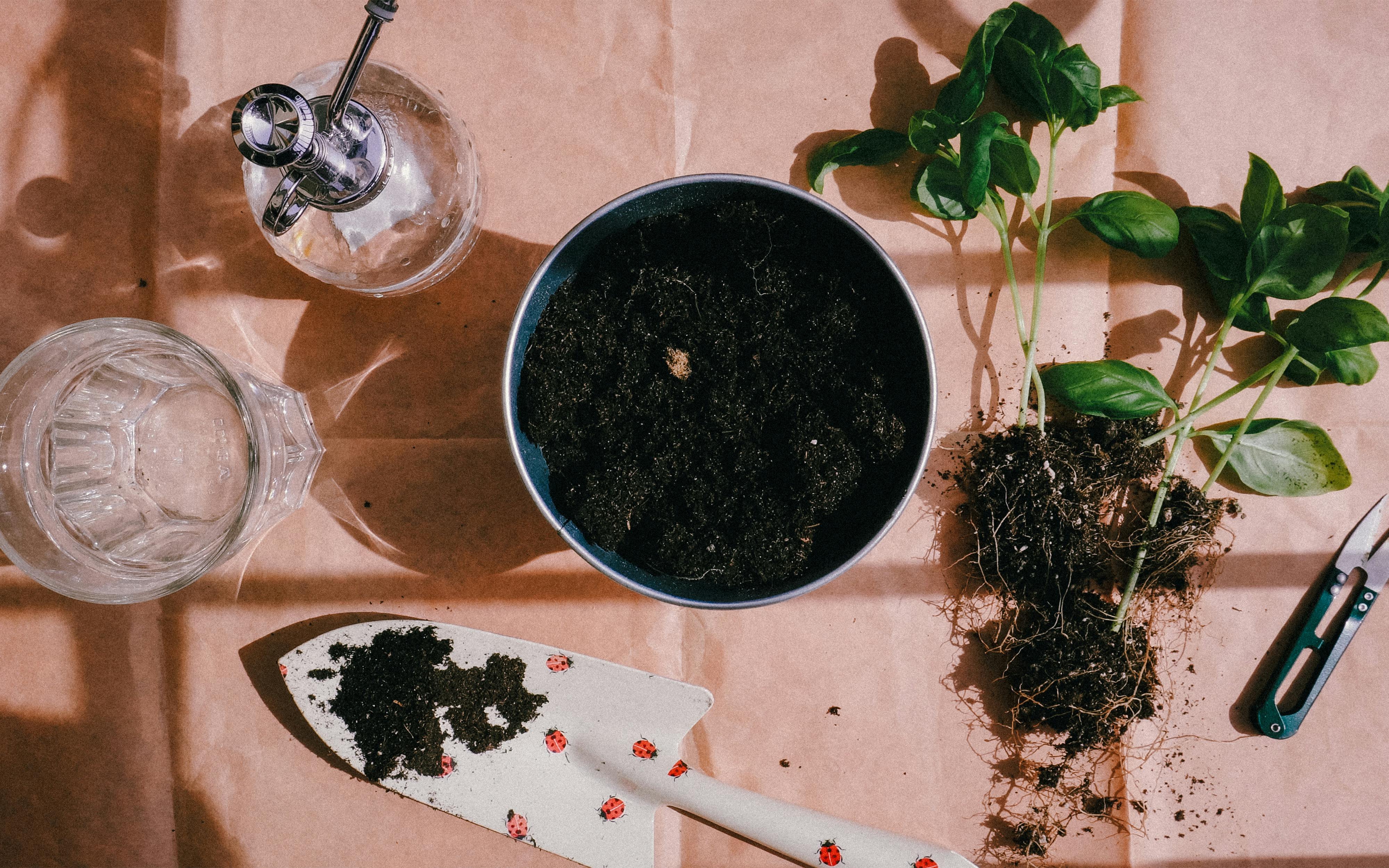 The 28 best gardening tools, according to expert gardeners — Photo by Tatsiana Sa on Pexels
