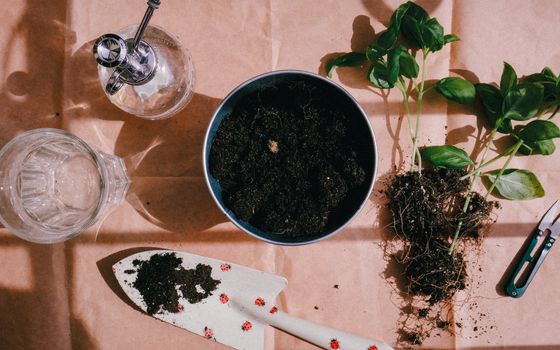 How to Create a DIY Smart Water Conservation System Using the Smart Water Box