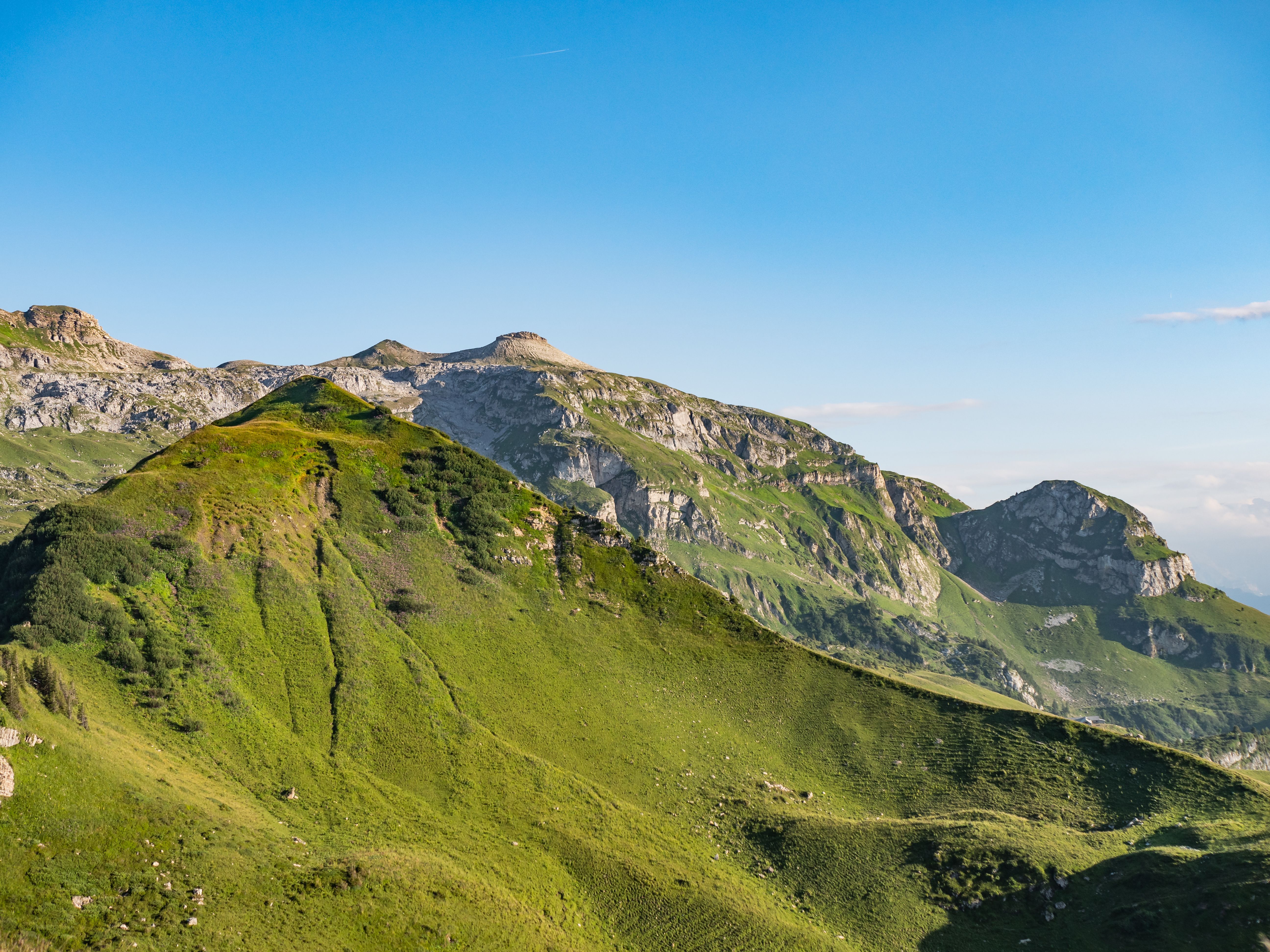 Summer Mountain Landscape · Free Stock Photo