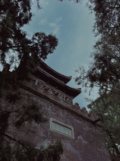 Free Low angle view of traditional Chinese pagoda surrounded by trees, capturing its intricate architecture. Stock Photo