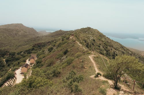 A view of the ocean from a hill
