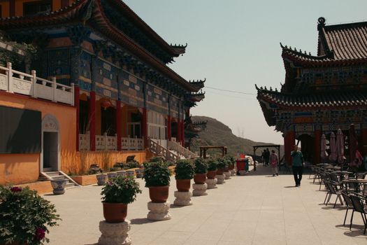 View of a Pavement with Potted Plants between the Temples 