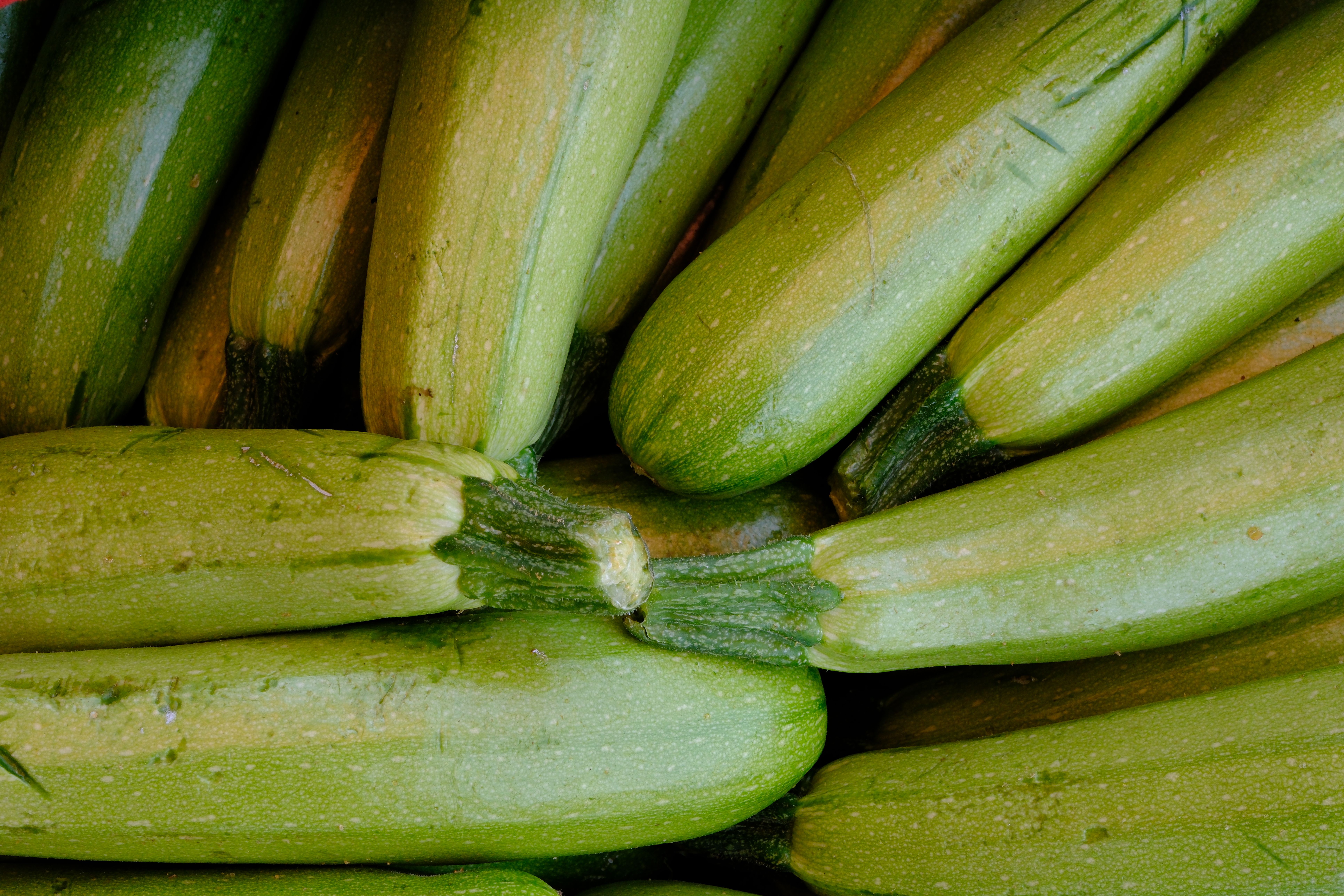 Are Green Squash and Zucchini the Same? - Chef's Resource