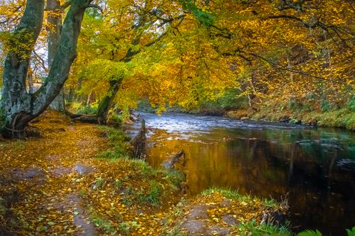 Free River Derwent. Stock Photo